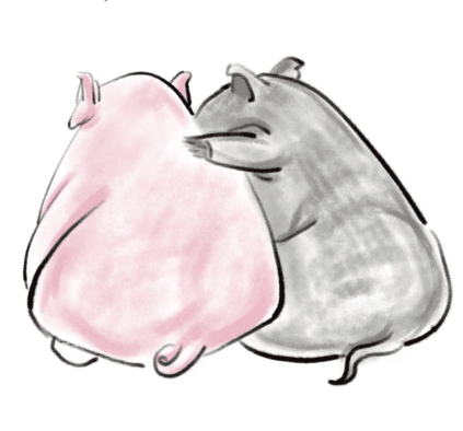 TwinPigletsCoin
